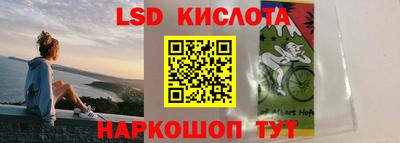 крисы Малоярославец