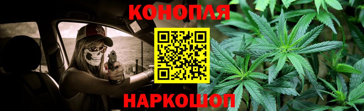 Каннабис план Сальск